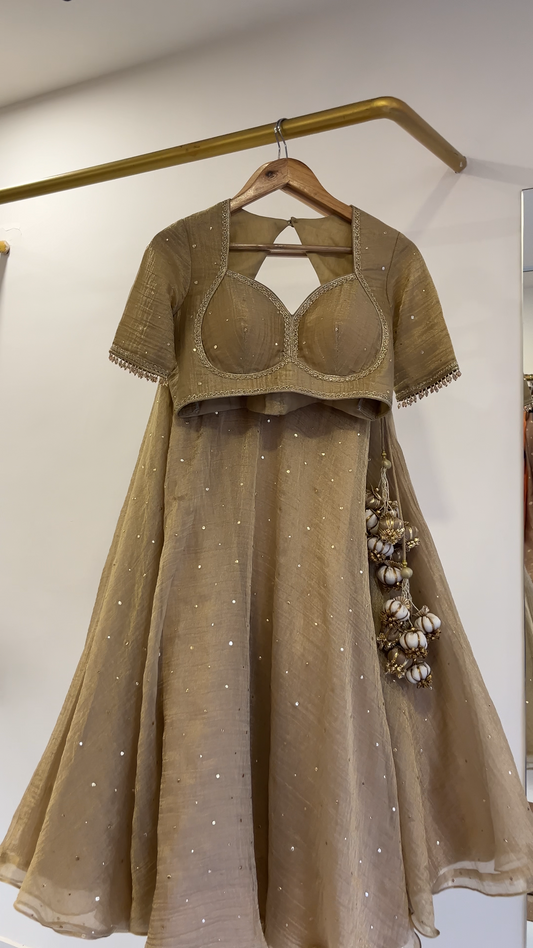 Golden Tissue Lehenga