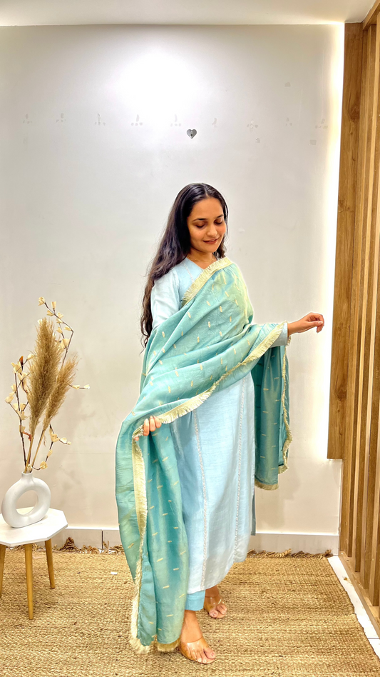 Ice Blue & Sage Green Suit Set