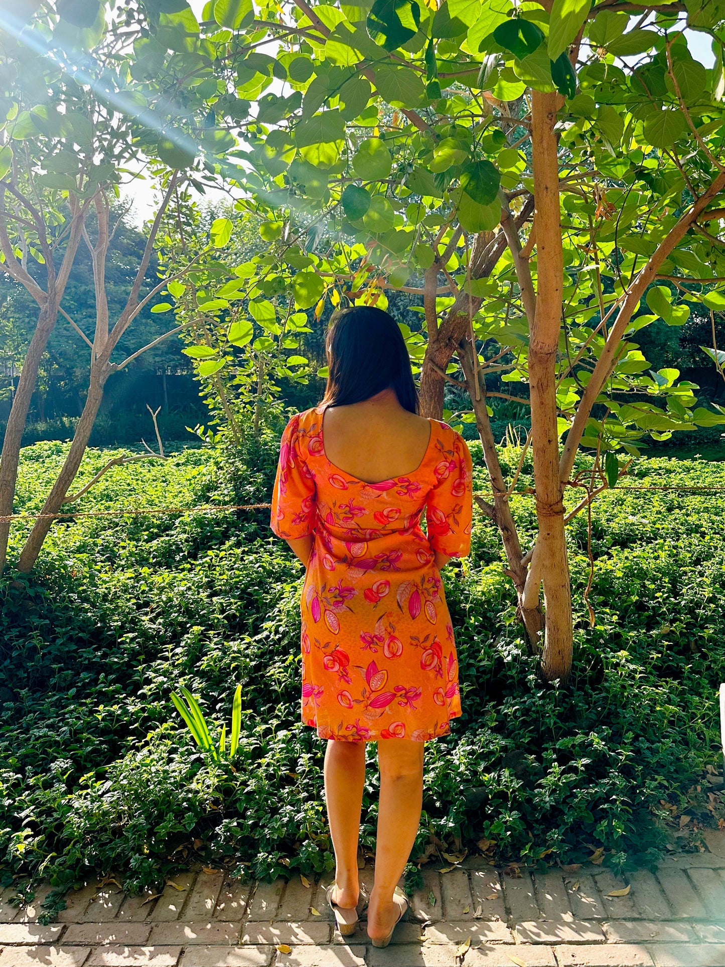Lotus  Printed Dress