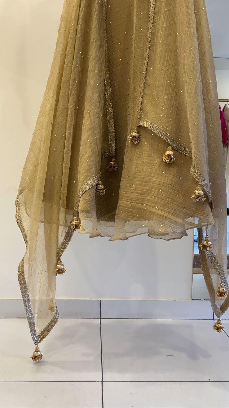 Golden Tissue Lehenga