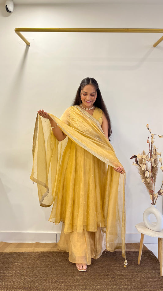 Golden Tissue Anarkali
